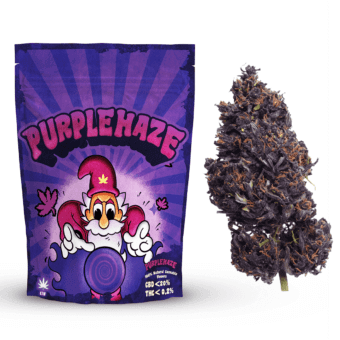 purple-mockup.png