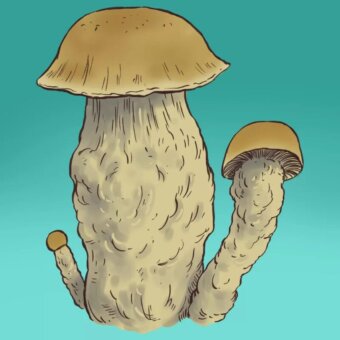 933591b6cd32e75d9ed2c0282ee66d71