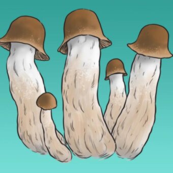 3ae148fdc8b4f5b7c0a8abe48b12ff00